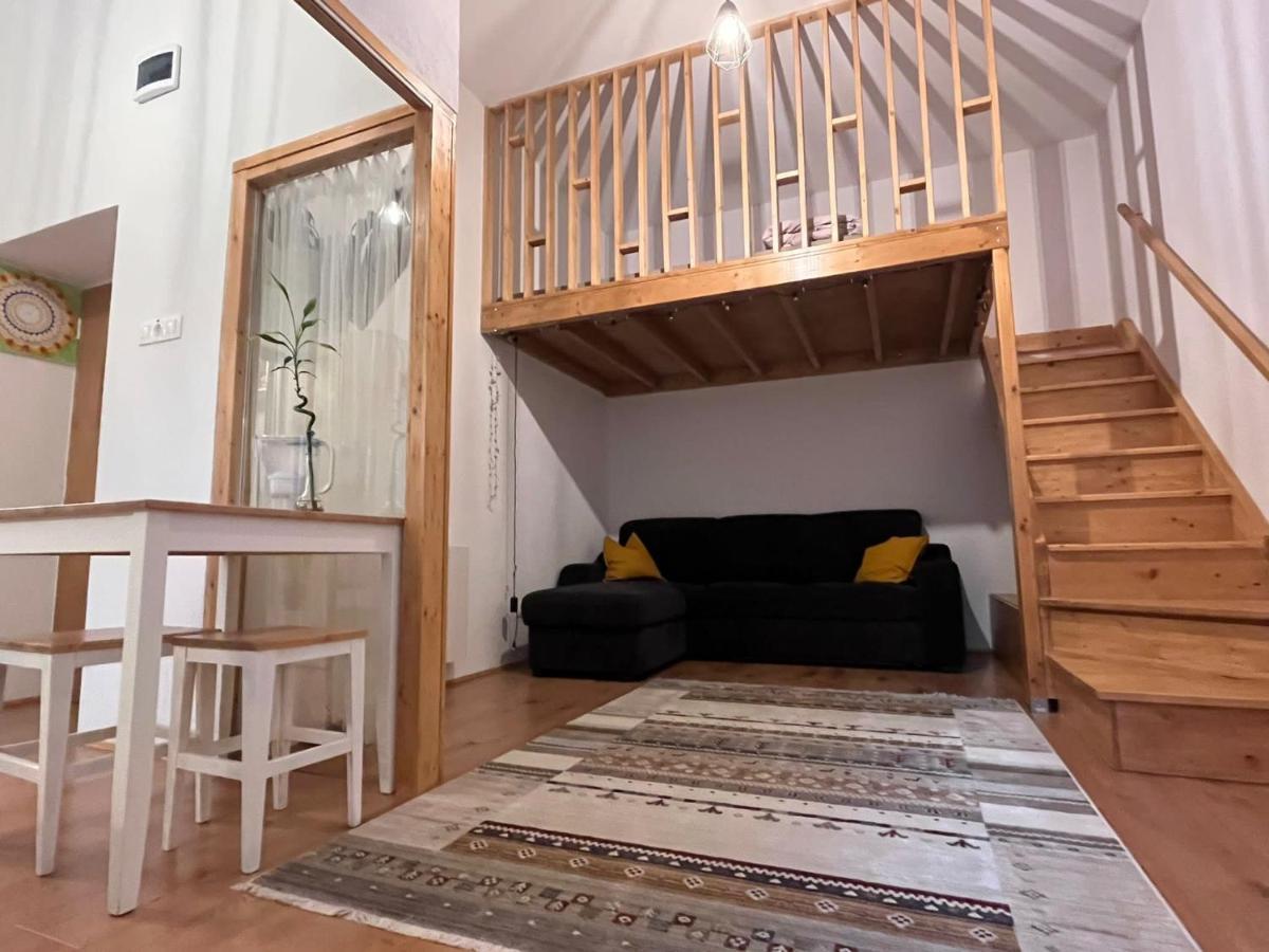 Downtown Apartment Timişoara Exterior foto